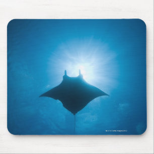 Manta swimming underwater mouse pad