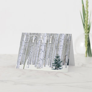 Manti-LaSal National Forest, Utah   Thank You Card