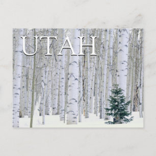 Manti-LaSal National Forest, Utah   Thank You Postcard