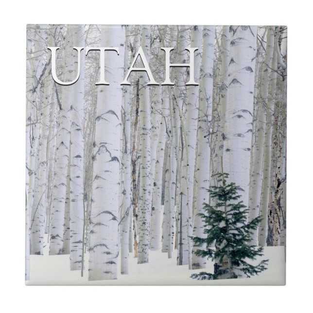 Manti-LaSal National Forest, Utah Tile (Front)