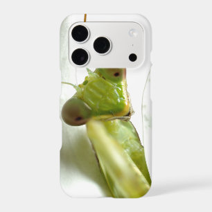 Mantid