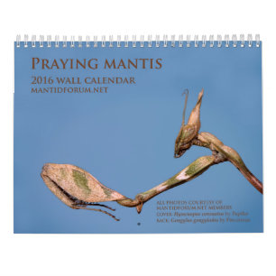 Mantidforum.net 2016 Praying Mantis Wall Calendar