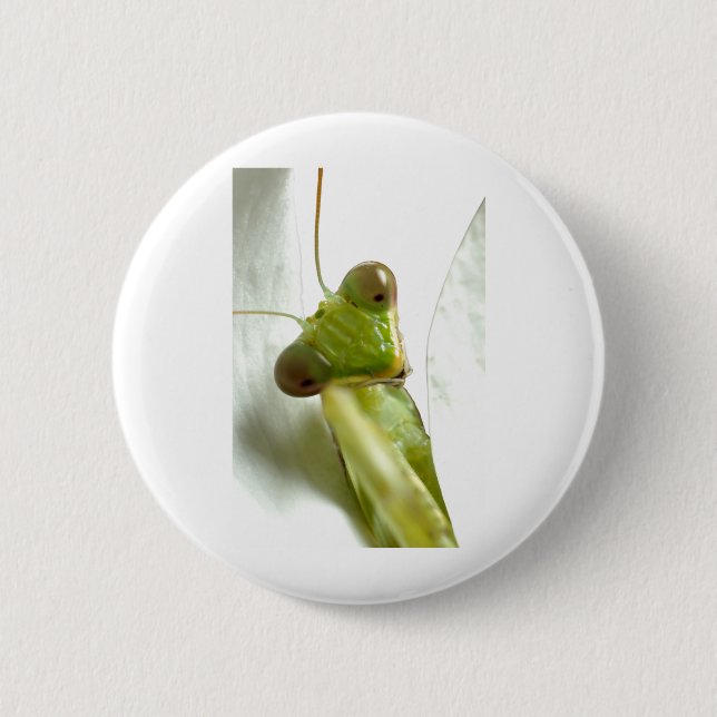 Mantids 6 Cm Round Badge (Front)
