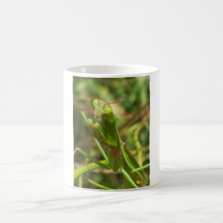 Mantis 8482 coffee mug