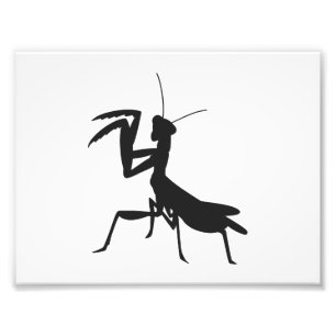 Mantis in silhouette - Choose background color Photo Print