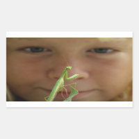 Mantis religiosa
