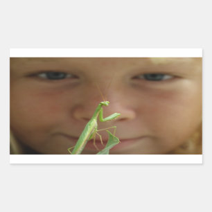 Mantis religiosa rectangular sticker