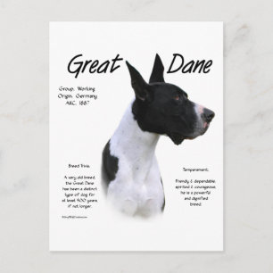 Mantle Great Dane Meet the Breed Postcard