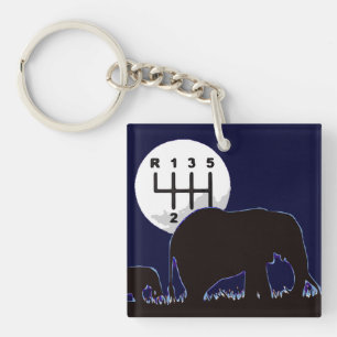 MANUAL - Endangered Key Ring