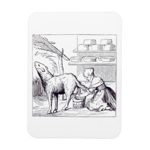 Manufacture of cheeses in Switzerland, after a woo Magnet