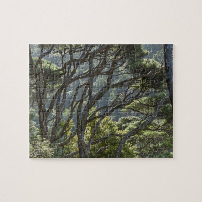 Manuka Tree Forest New Zealand Jigsaw Puzzle (Horizontal)