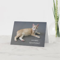 Manx Cat Birthday Card by Focus for a Cause