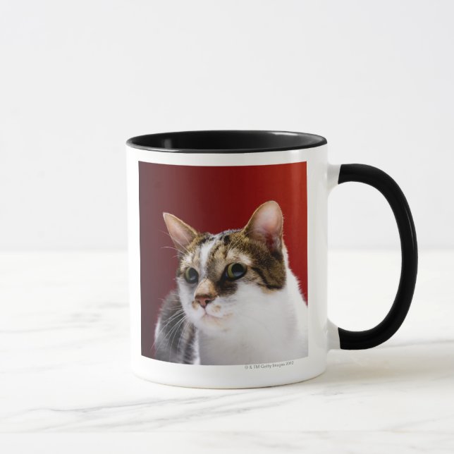 Manx cat mug (Right)