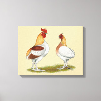 Manx Rumpies Canvas Print