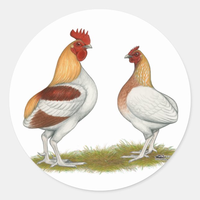 Manx Rumpies Classic Round Sticker (Front)