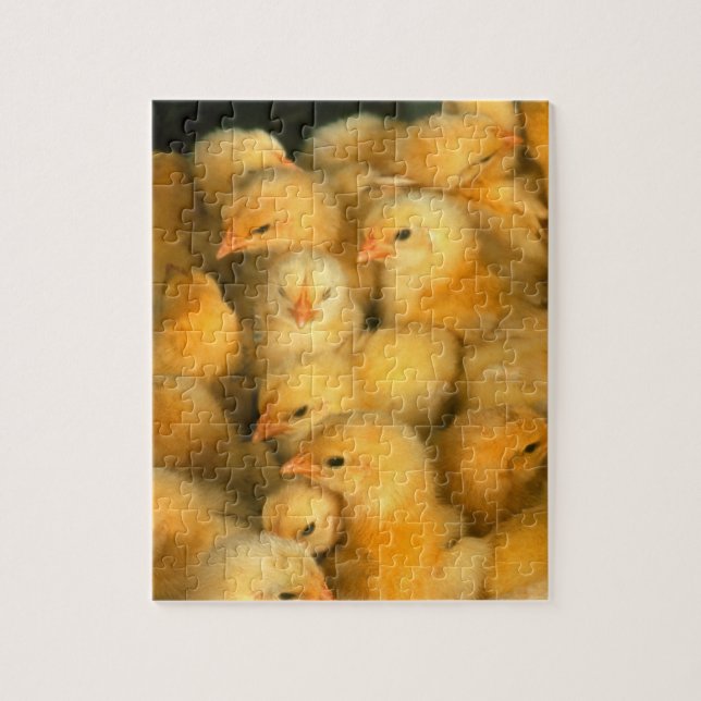 Many Baby Chicks Chickens Jigsaw Puzzle (Vertical)