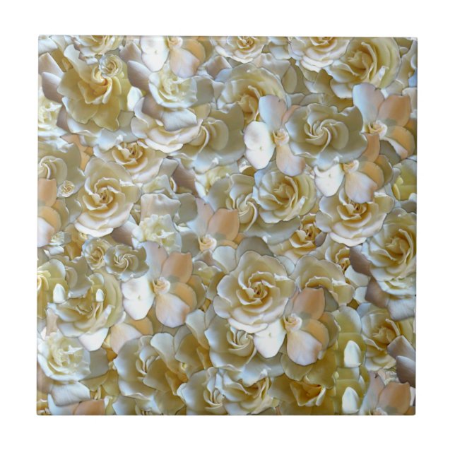 Many beautiful petals of rose      tile (Front)