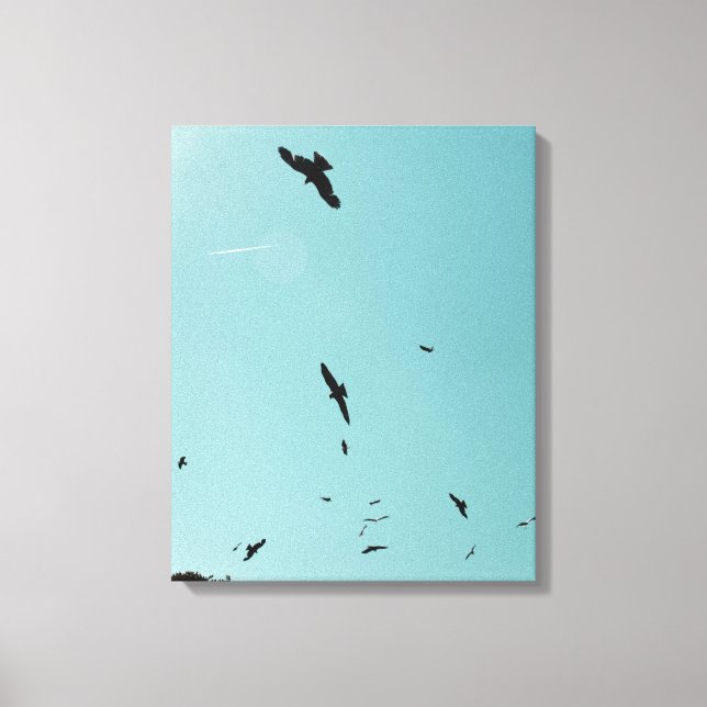 Many birds and a contrail canvas print (Front)
