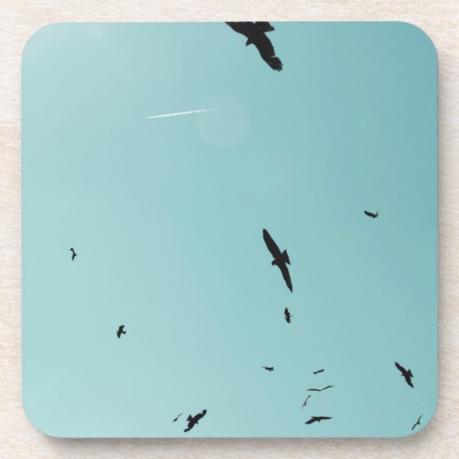 Many birds and a contrail coaster (Front)