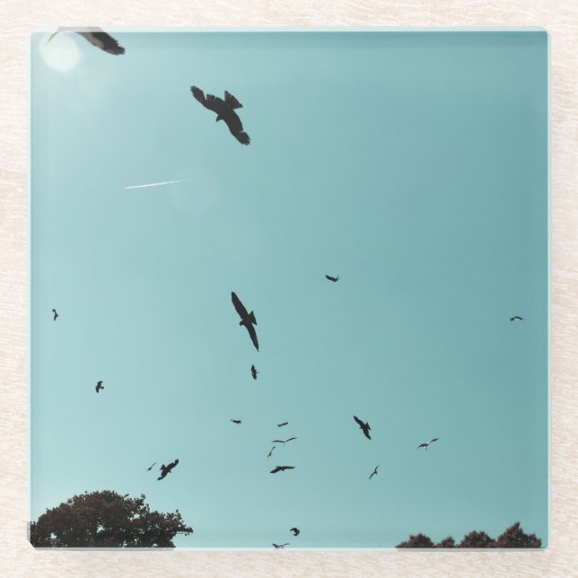 Many birds and a contrail glass coaster (Front)