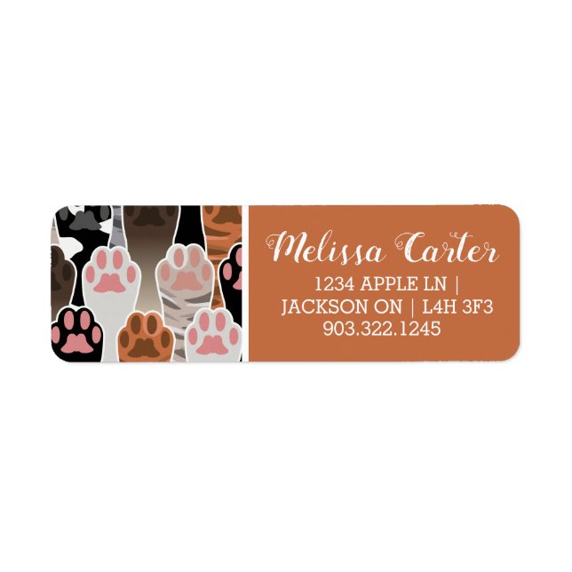 Many Cat Paws Pattern (Front)