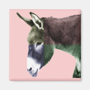 Many Colours Burro - Colour Me Wild Animal Lovers Magnet