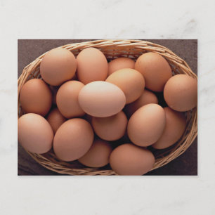 Many eggs in basket postcard