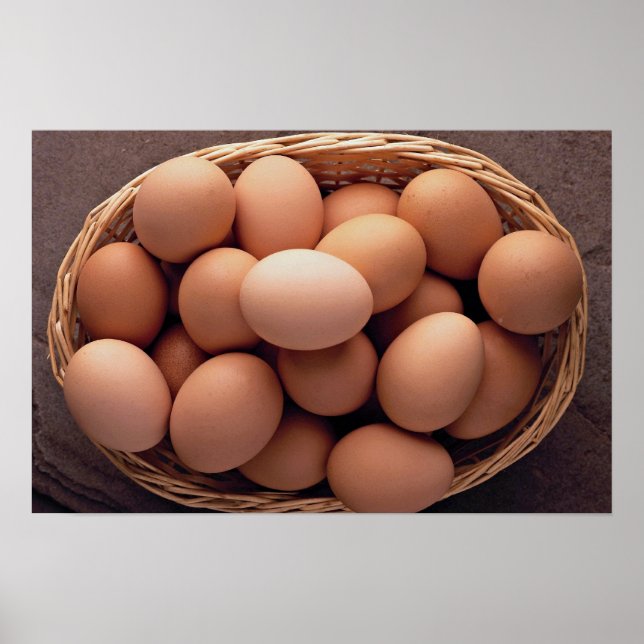 Many eggs in basket poster (Front)