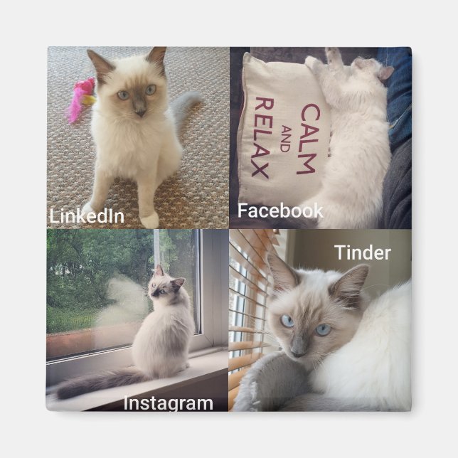 Many faces of a Ragdoll Cat Magnet (Front)