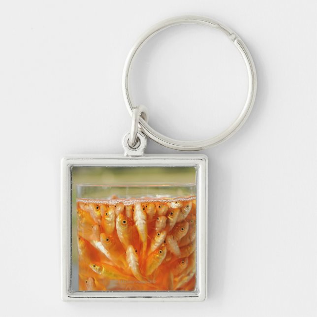 Many goldfish which are in the glass container key ring (Front)