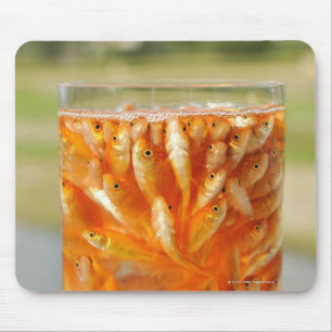 Many goldfish which are in the glass container mouse pad