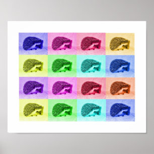 Many Hues of Hedgehogs Poster