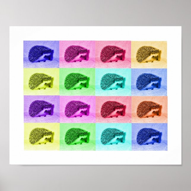 Many Hues of Hedgehogs Poster (Front)