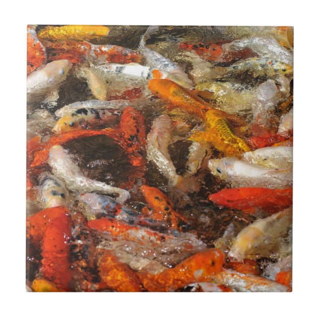 Many koi carp multicolor tile (Front)