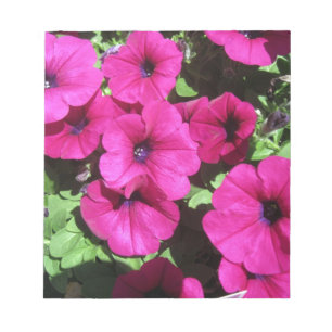 Many Purple Petunias Notepad
