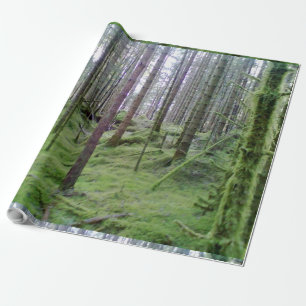 Many trees in the forest wrapping paper