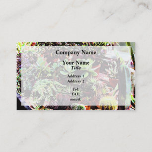 Many Varieties of Cactus Business Card