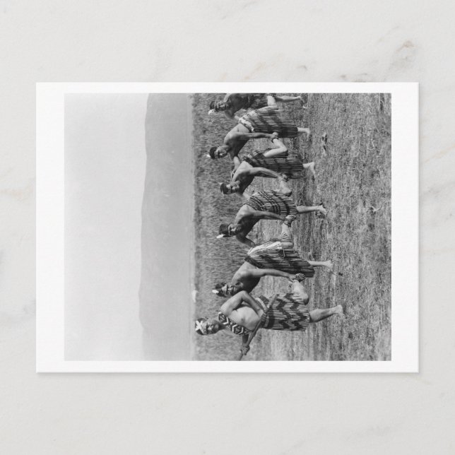 Maori War Dance Photograph Postcard (Front)