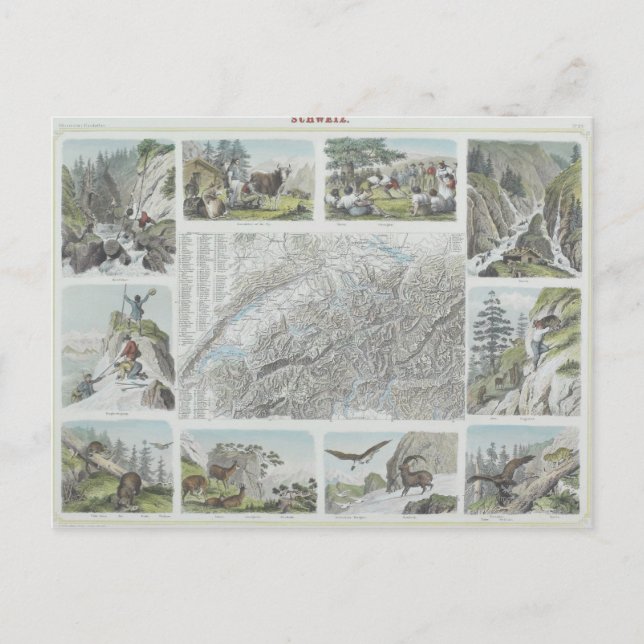 Map and Vignettes of Swiss Alps Postcard (Front)