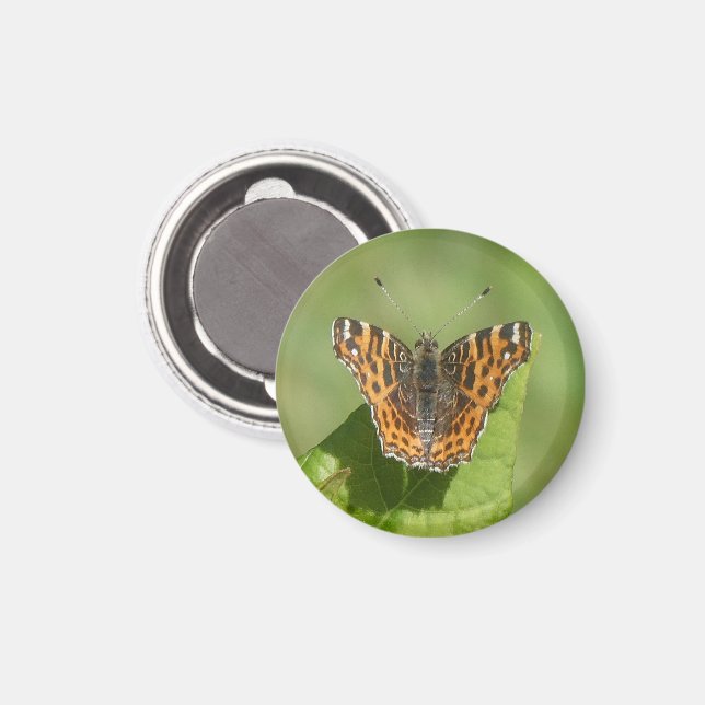 Map Butterfly on a Leaf Magnet (Front/Back)
