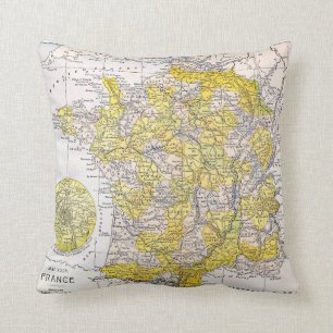 MAP: FRANCE CUSHION