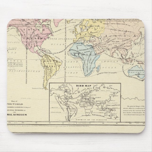 Map in colour of The World Mouse Pad (Front)