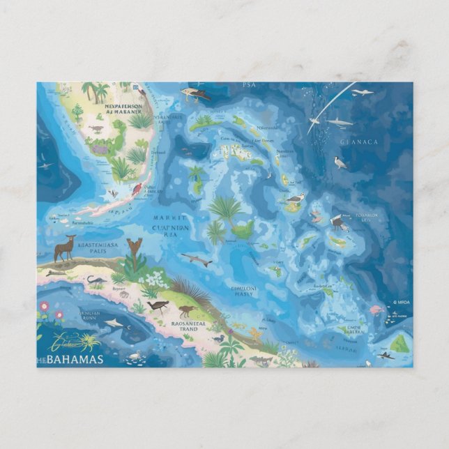 Map of bahamas postcard (Front)