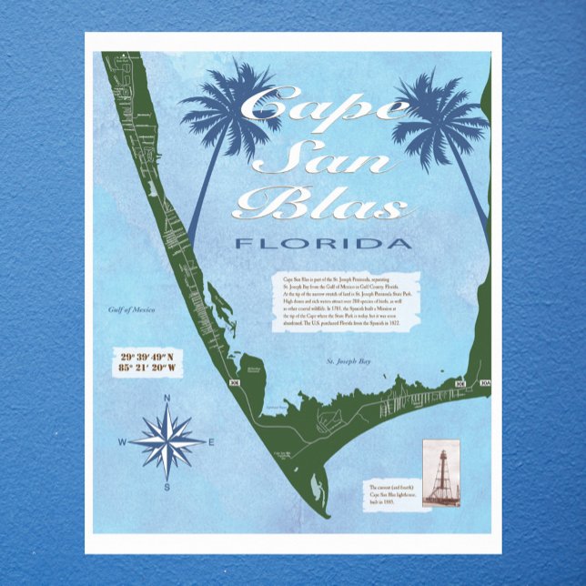 Map of Cape San Blas Florida Poster (Creator Uploaded)