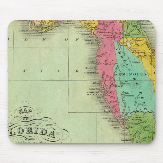 Map of Florida Mouse Pad (Front)
