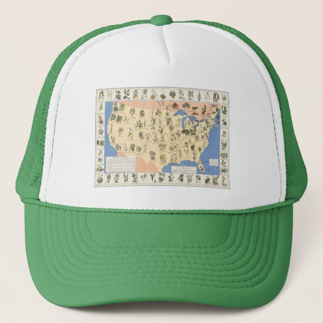 Map of Herbal Remedies hat (Front)
