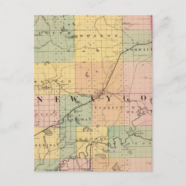 Map of Newaygo County, Michigan Postcard (Front)