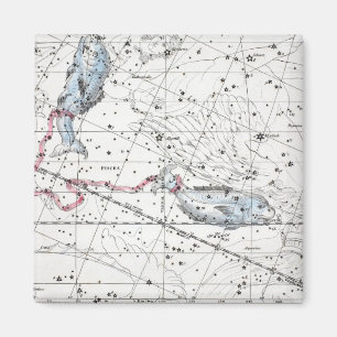 Map of The Constellations Plate XXII Magnet