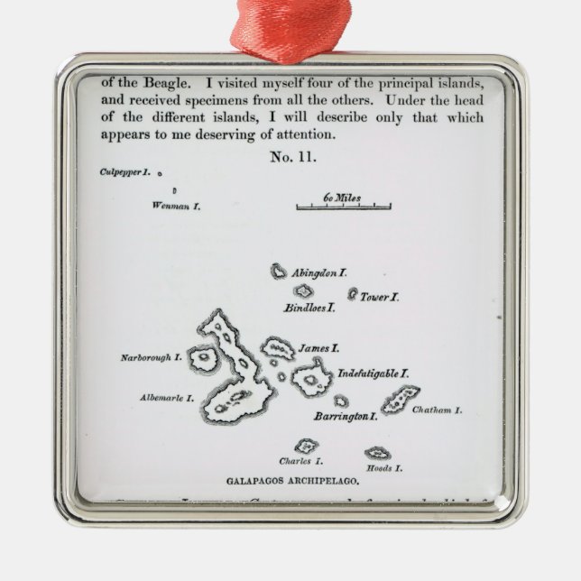 Map of the Galapagos Archipelago, 1844 Metal Tree Decoration (Front)