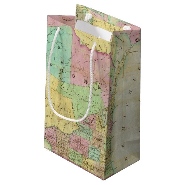 Map of the State of Michigan Small Gift Bag (Back Angled)